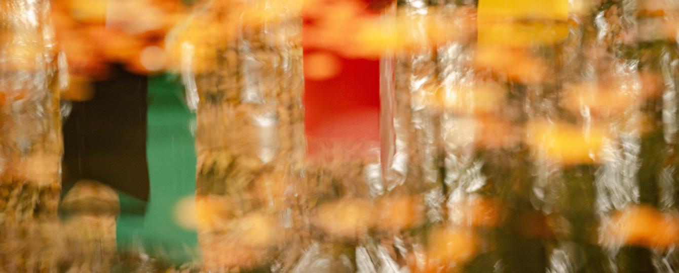Detail wateroppervlak kunstwerk Poëzie van Philippe van Snick, met gevallen herfstbladeren en weerspiegeling deel kunstwerk Bosque metalica van Jorge Dubon