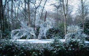 Winterlandschap met drie sculpturen