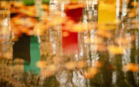 Detail wateroppervlak kunstwerk Poëzie van Philippe van Snick, met gevallen herfstbladeren en weerspiegeling deel kunstwerk Bosque metalica van Jorge Dubon