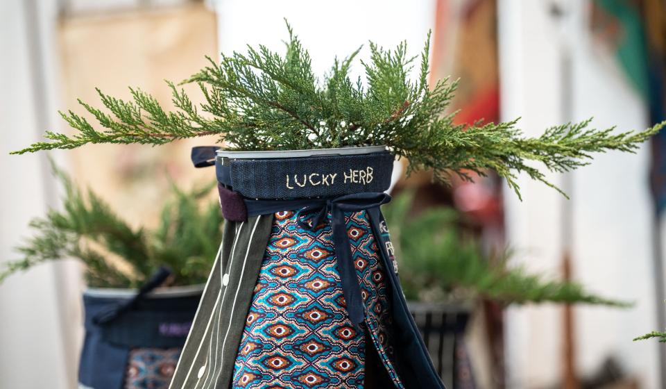 Wendy Morris - plant 'lucky herb'
