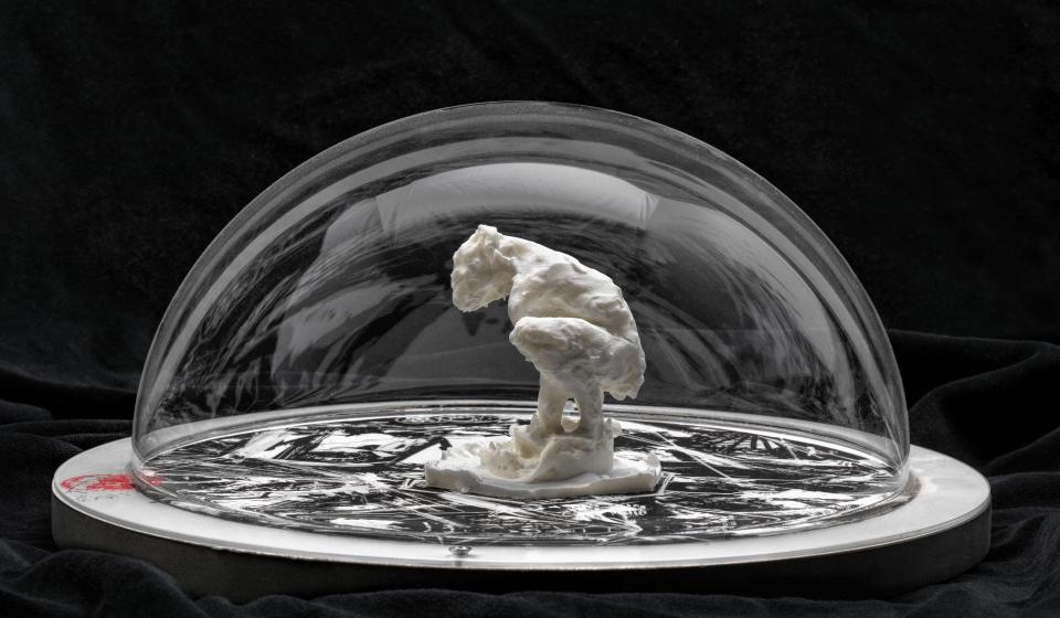 Klein beeldhouwwerk onder glazen stolp door Peter Rogiers